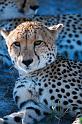 20090618_101727 D300 (2) X1